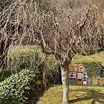 Few Steps To The Heart Of Menaggio, Swimming Pool, Breathtaking View Appartement *
