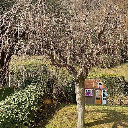 Few Steps To The Heart Of Menaggio, Swimming Pool, Breathtaking View Apartman *